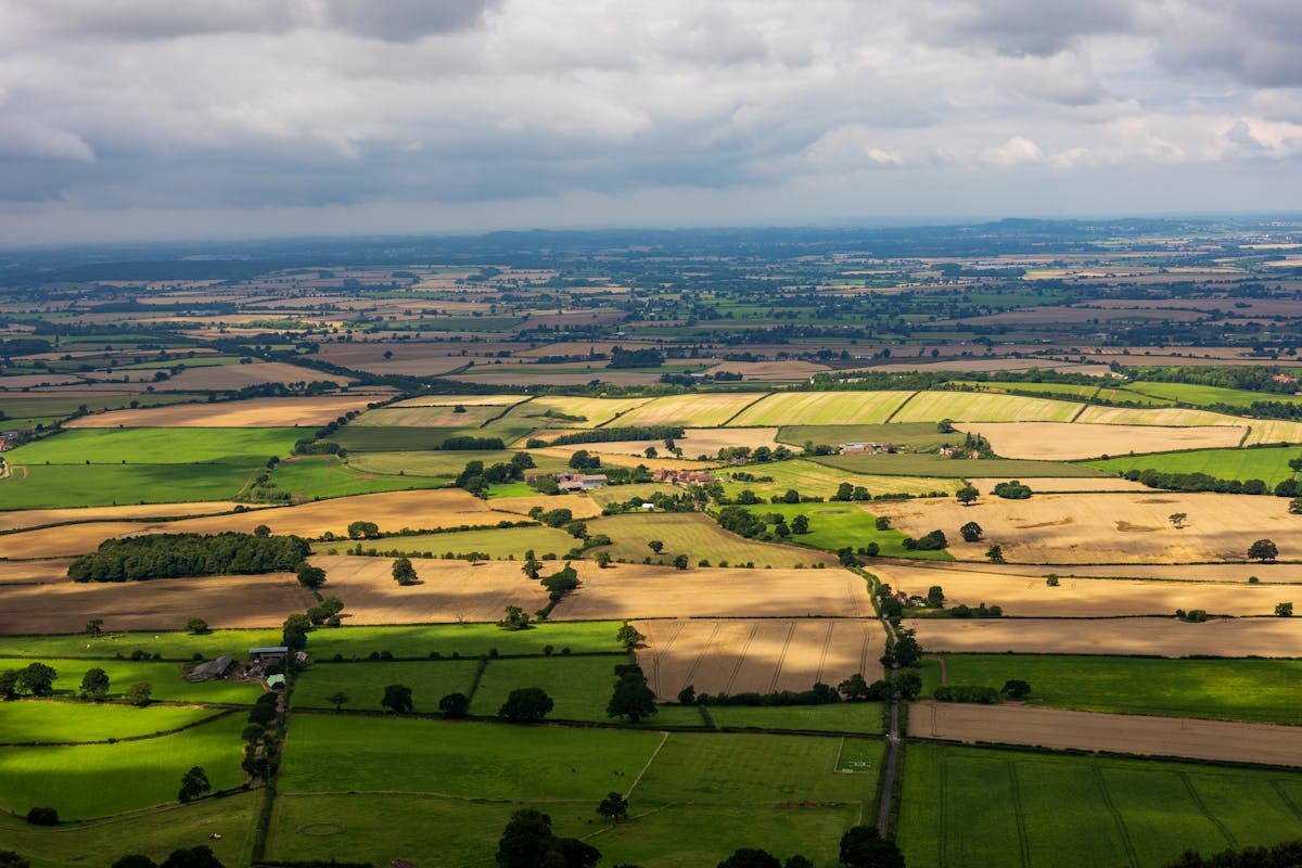 Artisan food market in the UK — UK summer list