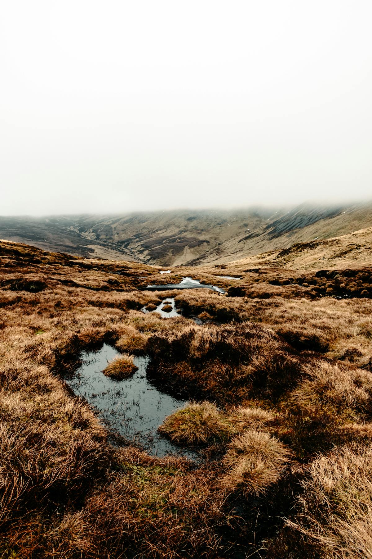 Train arriving at Edinburgh Waverley — Scotland road trip