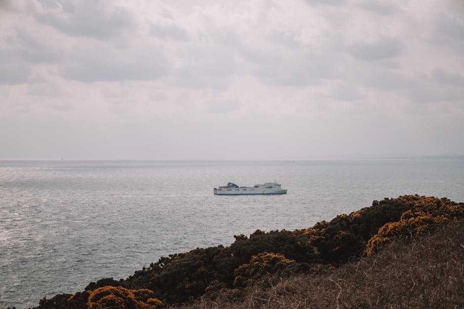 ferry to ireland from britain traveler tips 2026